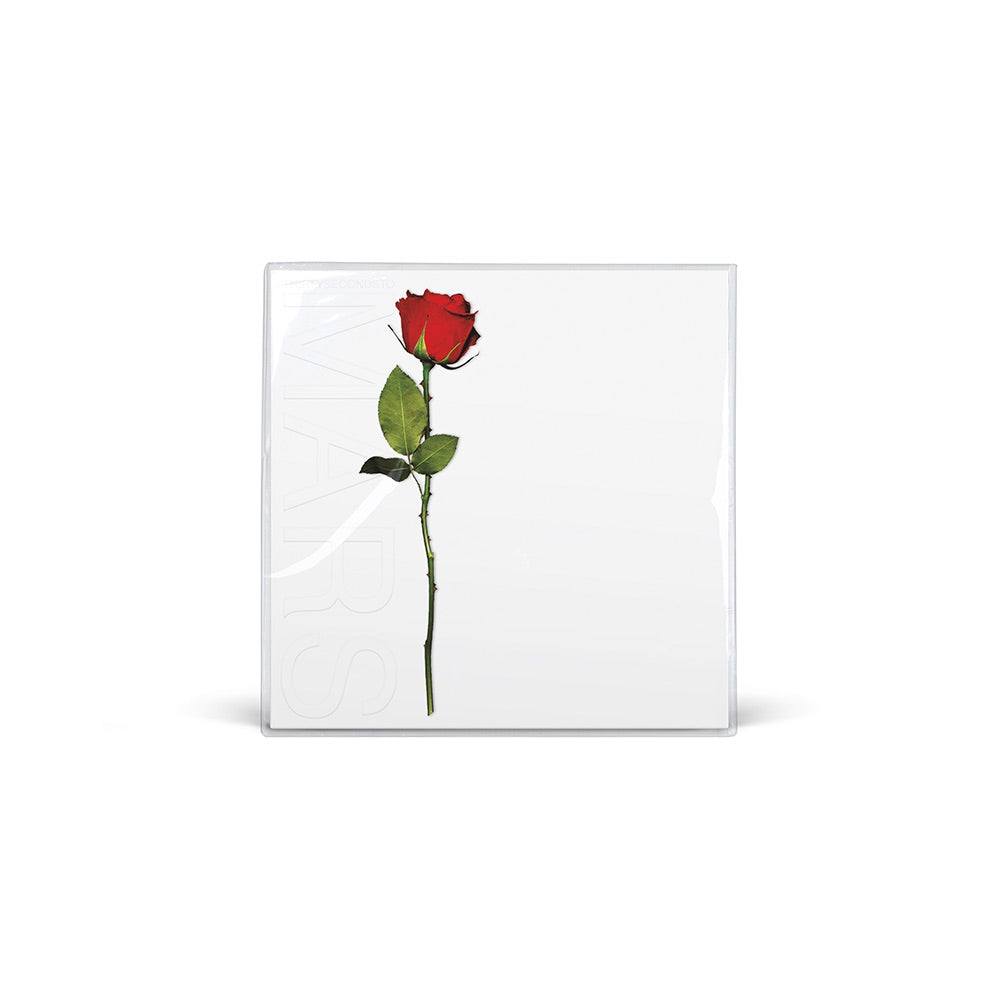 A Beautiful Lie (20 Year Anniversary) Deluxe Double Vinyl 2LP Cover